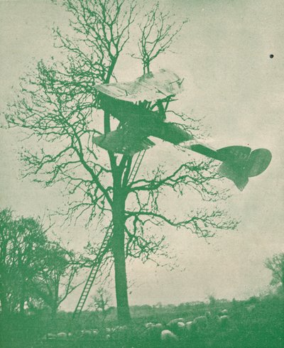 De risico