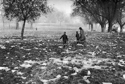 Het afval achtergelaten op Hamstead Heath na een bank holiday, Londen, 1926-1927 door Unbekannt