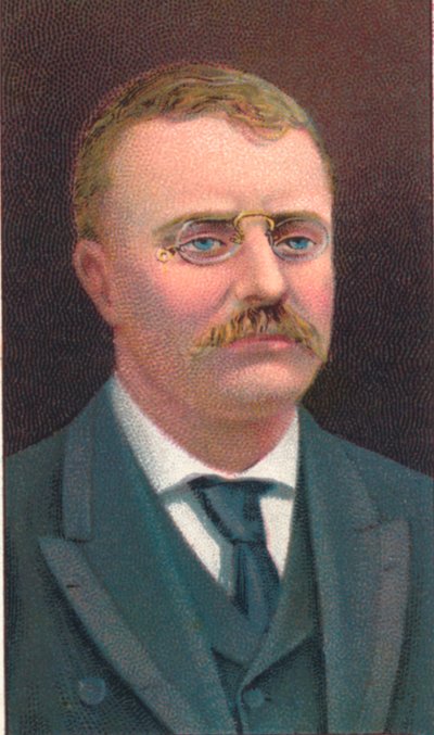 Theodore Roosevelt 1858-1919, 26e President van de Verenigde Staten, 1906 door Unbekannt