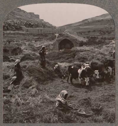 Graan dorsen bij Jacobs Well, circa 1900 door Unbekannt