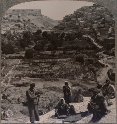 Dorsen op het dak, met uitzicht op de vallei van Kedron, ca. 1900 door Unbekannt