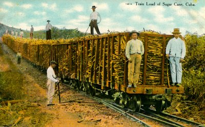 Treinlading Suikerriet, Cuba, c1910s door Unbekannt