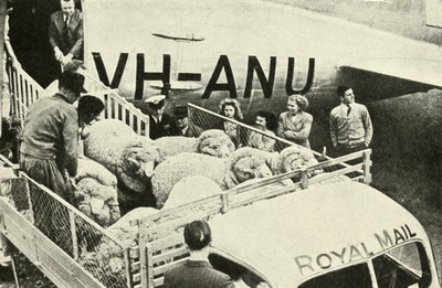 Transport van prijsschapen per vliegtuig, c1948 door Unbekannt