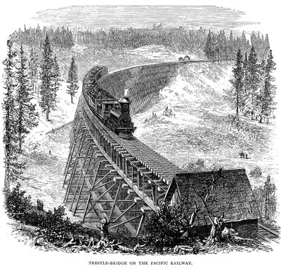 Trestlebrug op de Union Pacific Railroad, VS, 1876 door Unbekannt