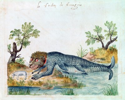Triton door Unbekannt