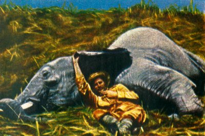 Trofeejager met dode olifant, c1928 door Unbekannt