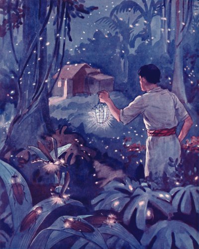 Tropische vuurvliegjes als dansende lichtpunten, 1935 door Unbekannt