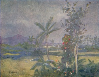 Tropische regen in de West-Indië, 1924 door Unbekannt