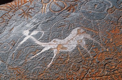 Twyfelfontein rotsschilderingen, DAMARALAND, NAMIBIË door Unbekannt