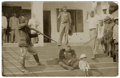 Een tamme gorilla, c.1910 door Unbekannt