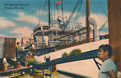 Bananen lossen, Tampa, Florida, ca. 1940s door Unbekannt