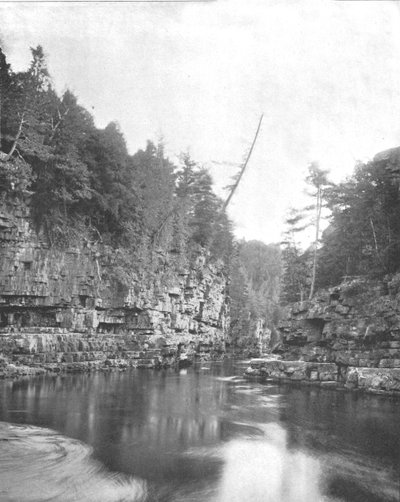 Bovenkant van de Ausable Chasm, Adirondacks, New York State, VS, c1900 door Unbekannt