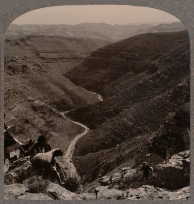 Vallei van de Arno, herder en schapen op de voorgrond, ca. 1900 door Unbekannt