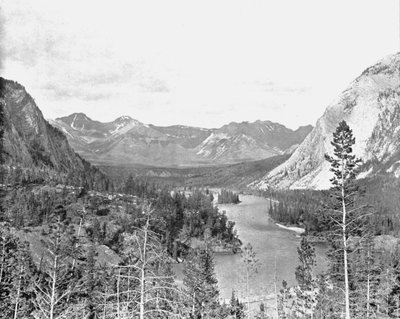 Vallei van de Bow River, Alberta, Canada, ca. 1900 door Unbekannt