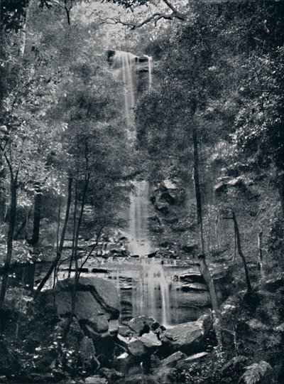 Vallei van de Wateren, Blue Mountains, ca. 1900 door Unbekannt