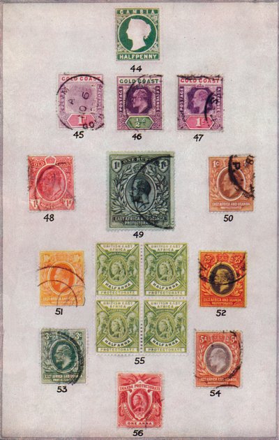 Verschillende Postzegels van Afrika Nr. 44-56 door Unbekannt