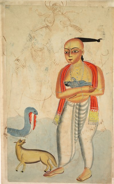 Vasudeva, Krishna