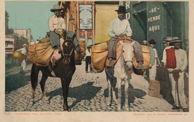 Groentemannen, Havana, Cuba, 1904 door Unbekannt