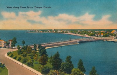 Uitzicht langs Shore Drive, Tampa, Florida door Unbekannt