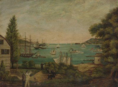 Uitzicht vanaf Staten Island door Unbekannt
