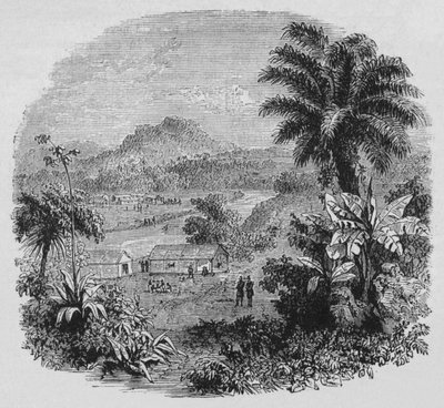 Uitzicht in Cayenne, ca. 1880 door Unbekannt