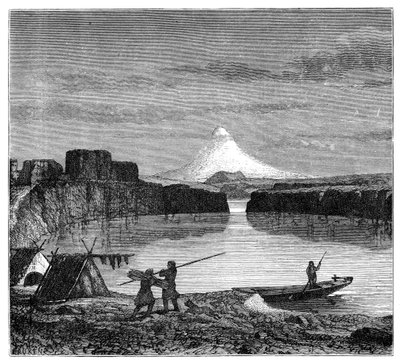 Uitzicht in Oregon, 1900 door Unbekannt