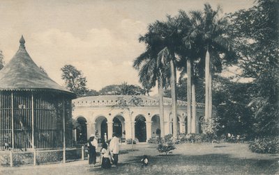 Uitzicht in de dierentuin, Calcutta, c1910 door Unbekannt