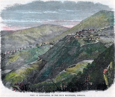 Uitzicht op Newcastle, in de Blue Mountains, Jamaica, ca. 1880 door Unbekannt