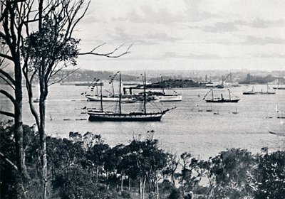 Uitzicht op de haven van Sydney vanaf North Shore, nr. 1, ca. 1900 door Unbekannt