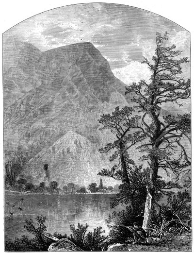 Uitzicht op een uitloper van de Blue Mountains, Delaware Water Gap, New Jersey, VS, 1877 door Unbekannt