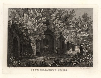 Uitzicht op de bron van de nimf Egeria, Fonte della Ninfa Egeria, Parco Cafarella, Rome door Unbekannt