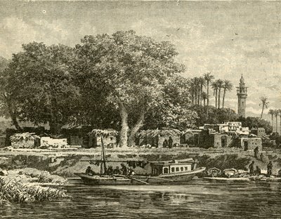 Uitzicht op de delta van de Nijl, 1890 door Unbekannt