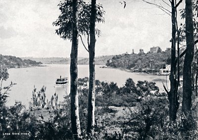 Uitzicht op de Lane Cove River, ca. 1900 door Unbekannt