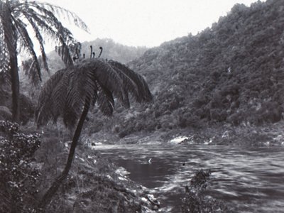 Wanganui-rivier, eind 19e-begin 20e eeuw door Unbekannt
