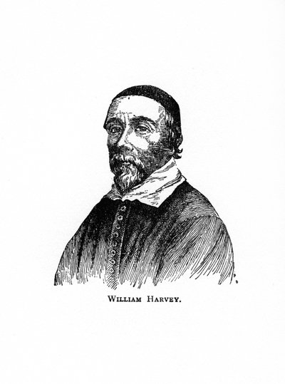 William Harvey, 17e-eeuwse Engelse arts, 20e eeuw door Unbekannt