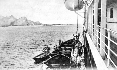 Een koe aan boord hijsen voor de kust van Chili, ca. 1900s door Unbekannt