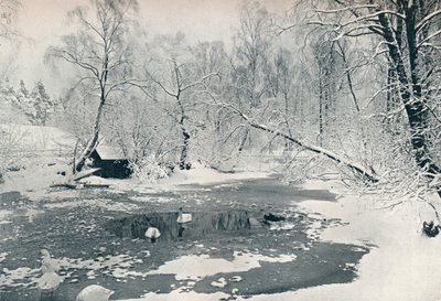 Winterzicht op het openluchtmuseum in Skansen, ca. 1900 door Unbekannt