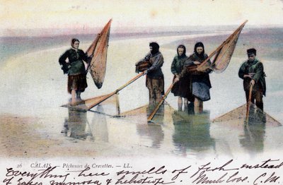 Vrouwelijke garnalenvissers, Calais, 1905 door Unbekannt