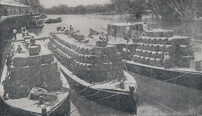 Wol Barges op de Murray River door Unbekannt