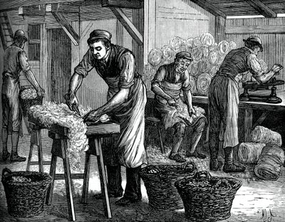 Wol sorteerders, c1880 door Unbekannt