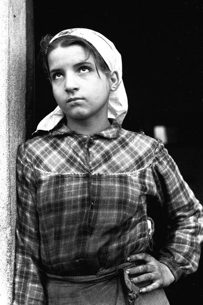 Jong meisje werkend als olijvenplukker in Calabrië, Italië, ca.1955 (zw/w foto) door Unbekannt