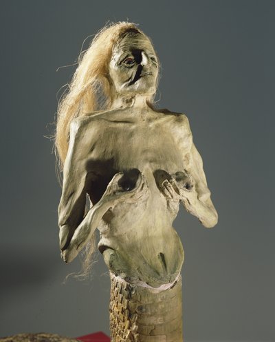 Half-vrouw, half-slang wezen, nakomeling van Melusine, 1900 door Unbekannt Unbekannt