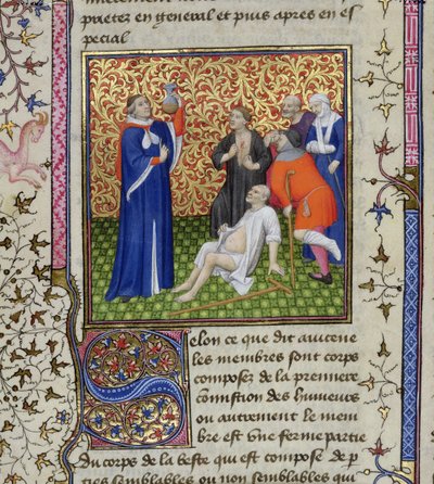 Ms.251 f.54v Een dokter met zijn patiënten, uit Des Proprietez des Choses, ca. 1415 door Unbekannt Unbekannt