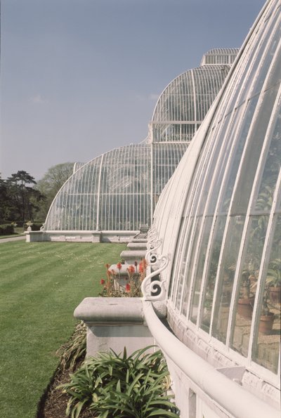 Sectie van het Palm House, ontworpen door Decimus Burton door Unbekannt Unbekannt