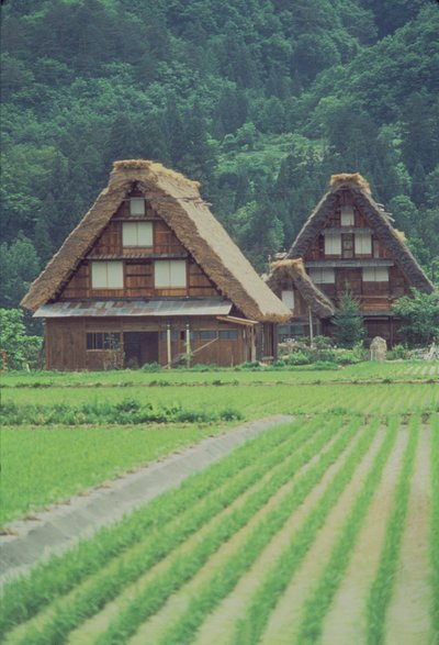 Shirakawa-dorp, Gifu, Japan door Unbekannt Unbekannt