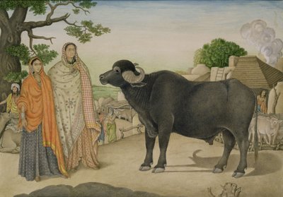 Twee dorpsvrouwen en een buffel in het dorp Rania, c.1816, Indiaas door Unbekannt Unbekannt