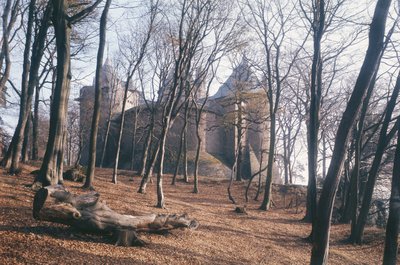 Uitzicht op Castle Coch, Zuid-Wales, vanuit het bos door Unbekannt Unbekannt