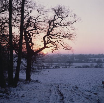 Winterscène in de sneeuw, Hockley, Essex door Unbekannt Unbekannt