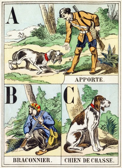 A B C: Breng, Stroper, Jachthond - Het Jachtalfabet, ca. 1890 (gravure) door Unbekannt