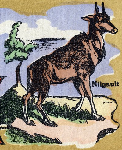 Een Nilgault. Geïllustreerd alfabet. Imageries verenigd in Jarville-Nancy, begin 20e eeuw. door Unbekannt